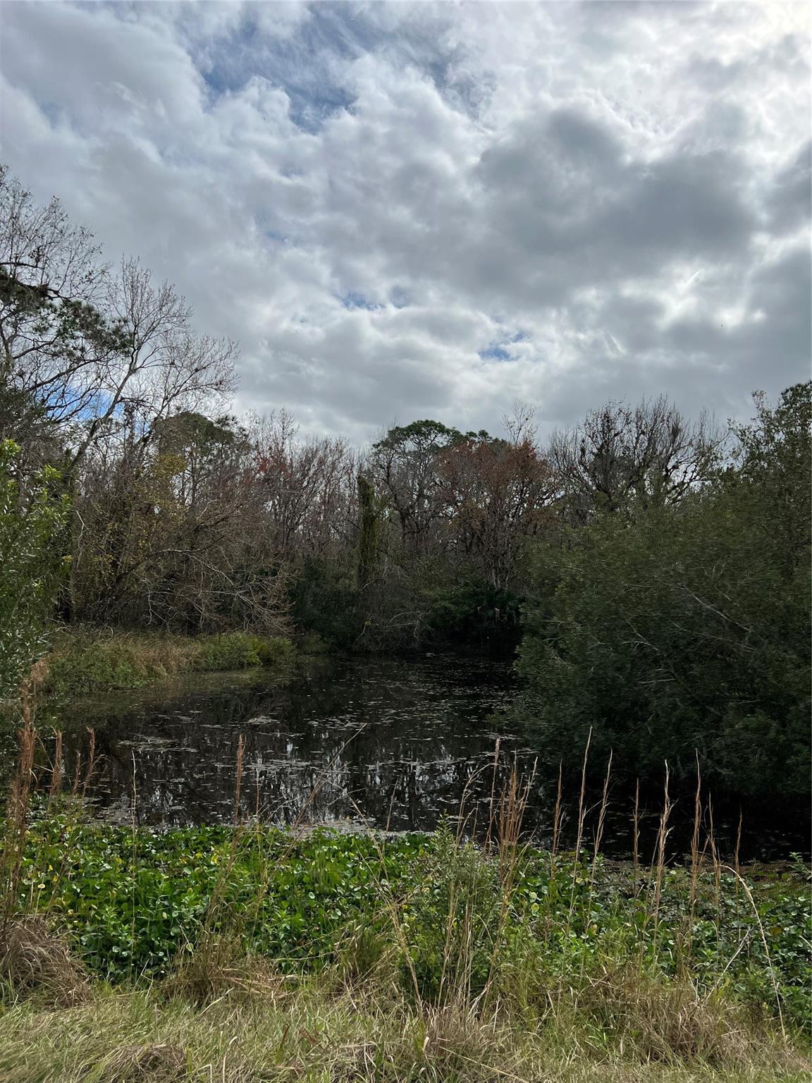 Homes for sale in Venus, FL | 641 Sheppard Rd, Venus, FL 33960 | MLS# F10491893