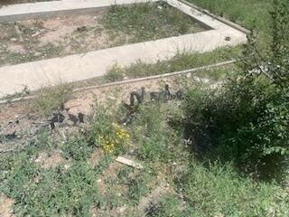 Photo 10 — 3 MARDAN Lane