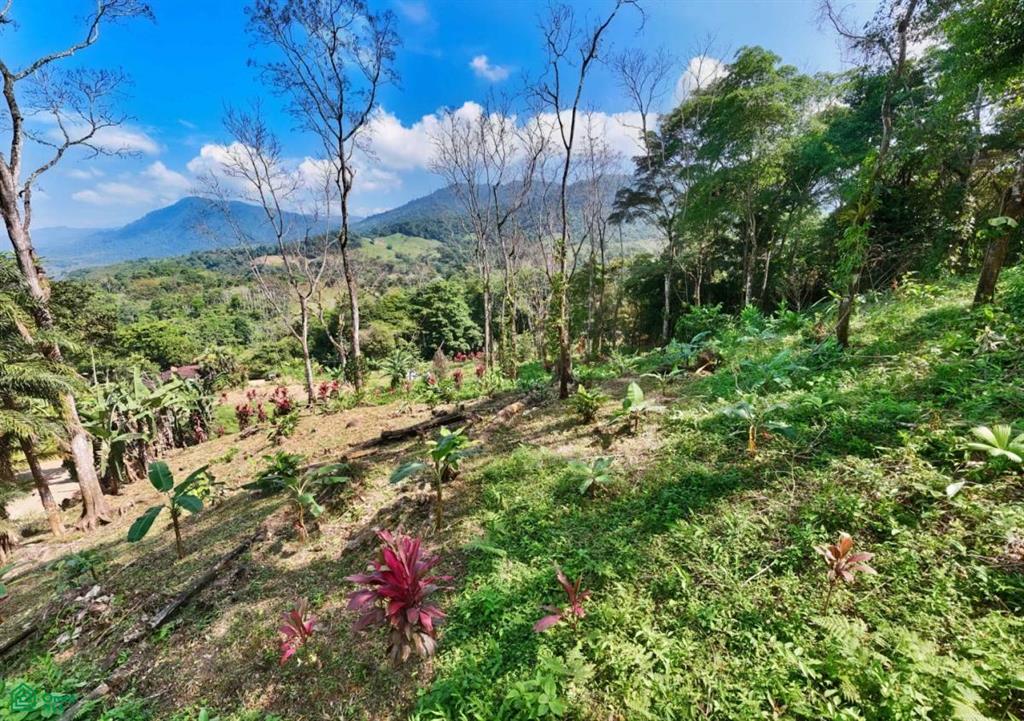 0 bed Land For Sale in Perez Zeledon, San Jose - 1