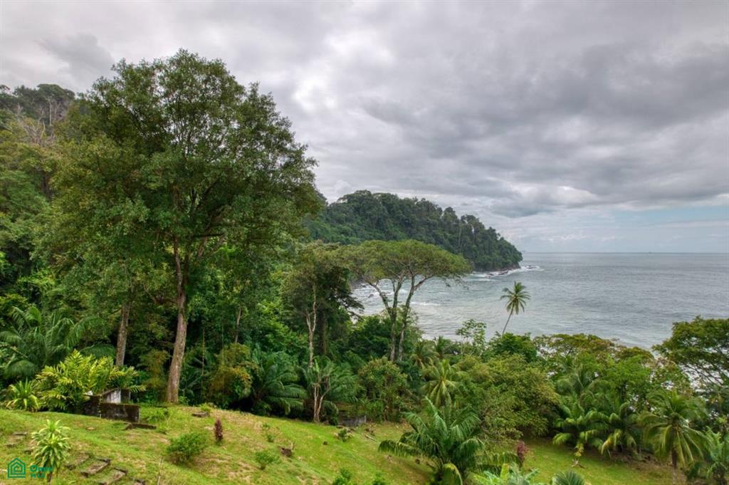 0 bed Land For Sale in Osa, Puntarenas - 1