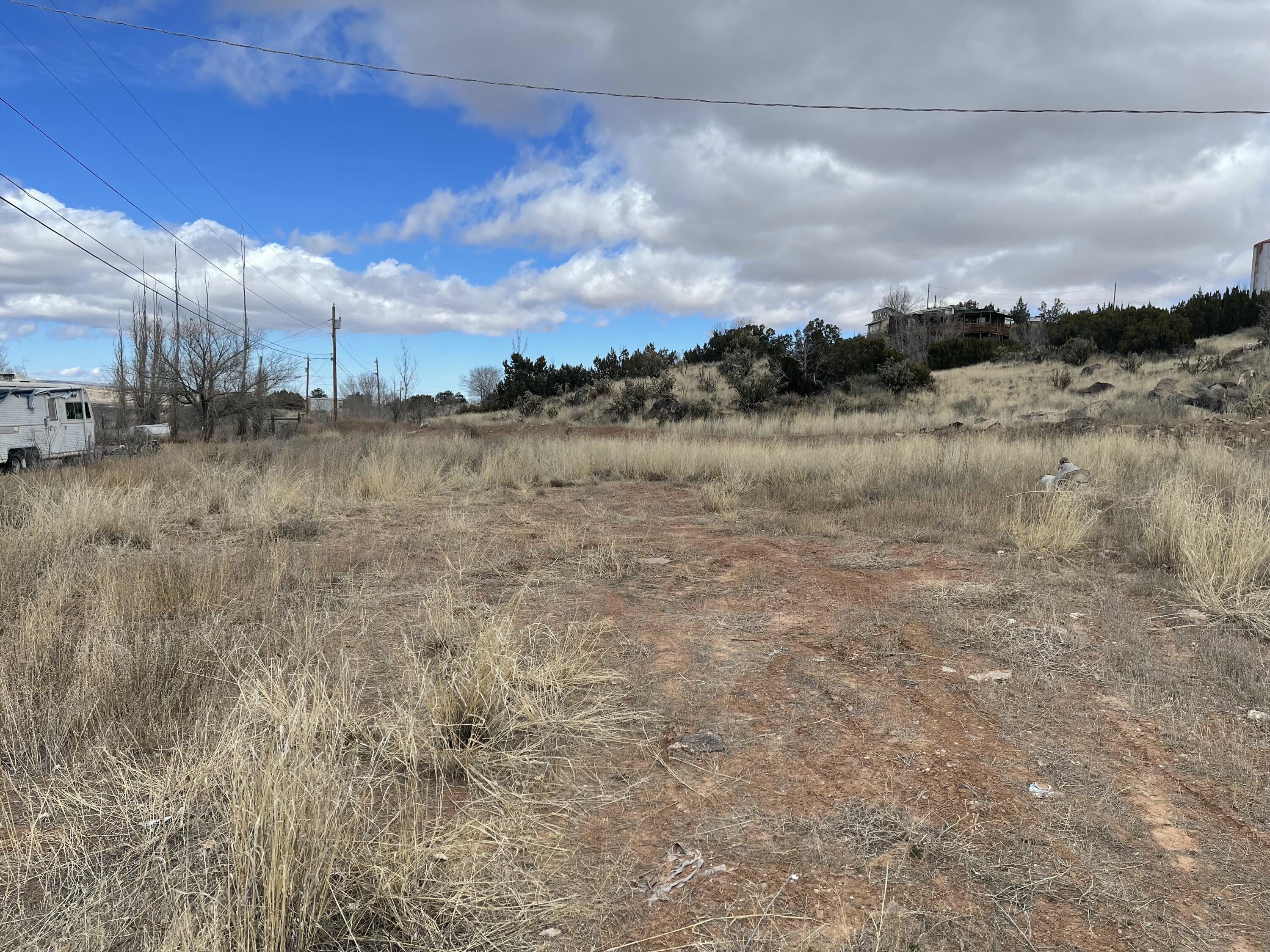 Photo 13 —  FOREST PARK Road