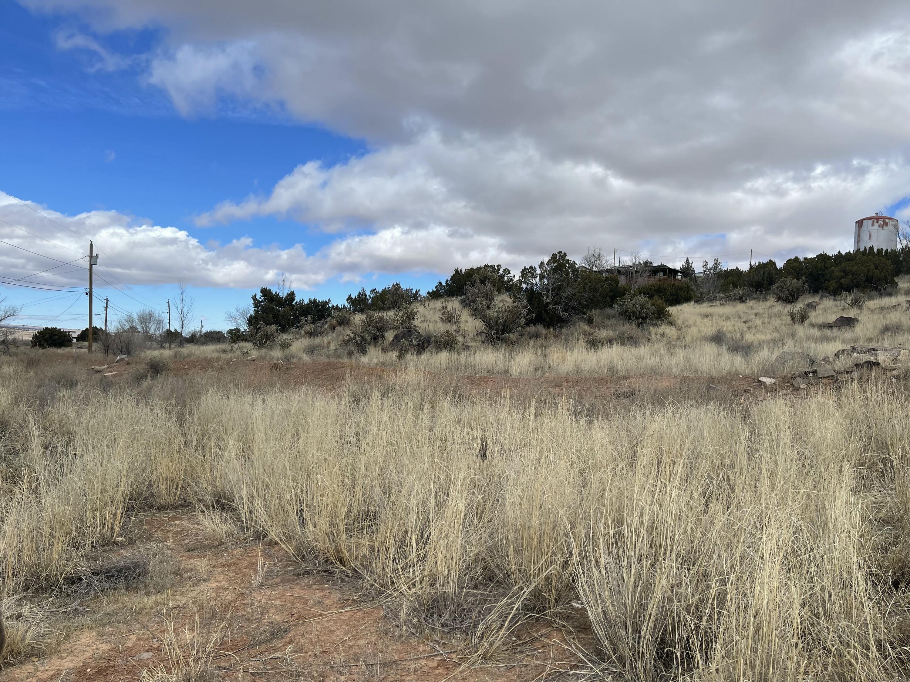 Homes for sale in Milan, NM | Forest Park Rd, Milan, NM 87021 | MLS# 1080214
