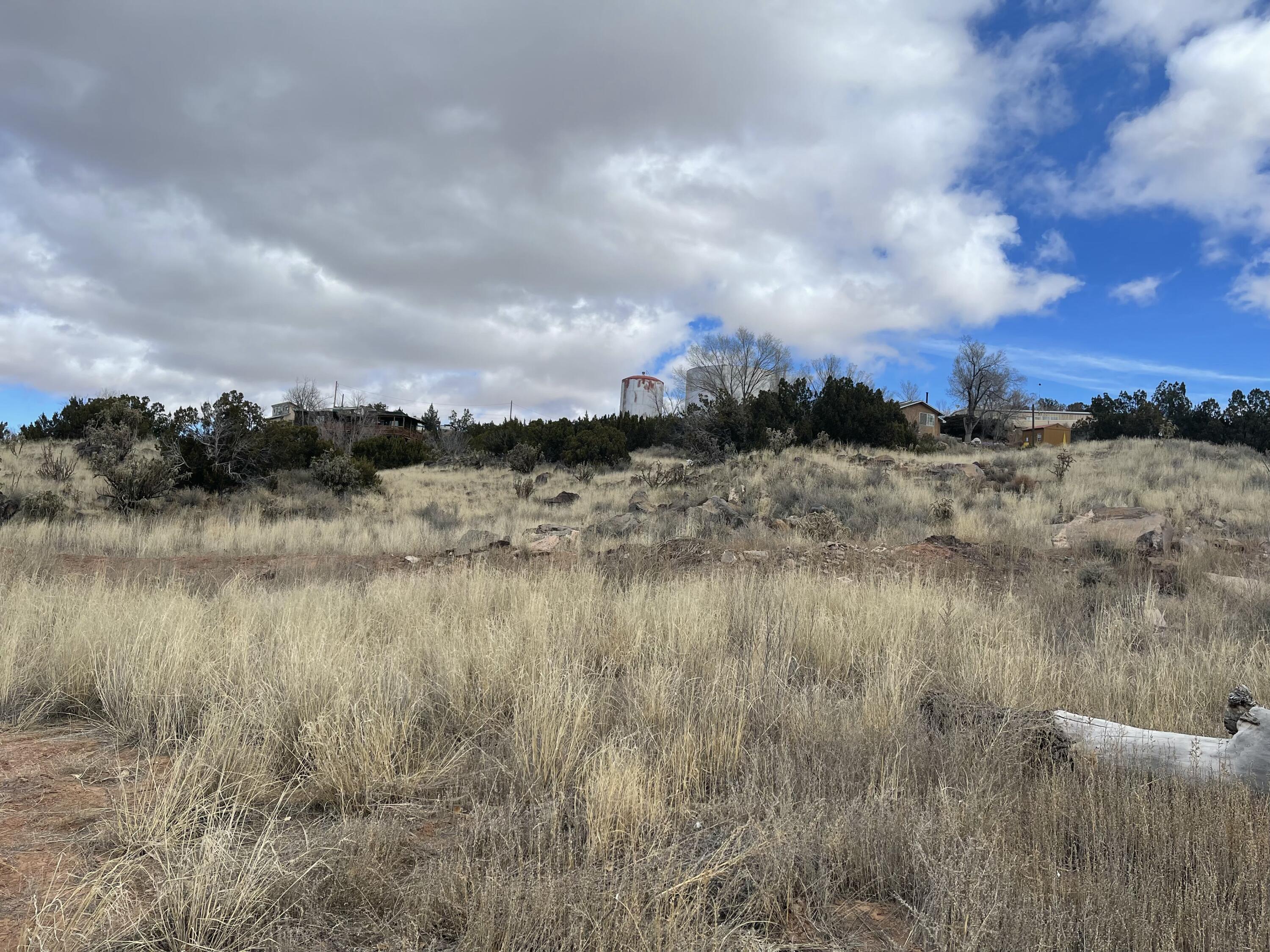Homes for sale in Milan, NM | Forest Park Rd, Milan, NM 87021 | MLS# 1080214