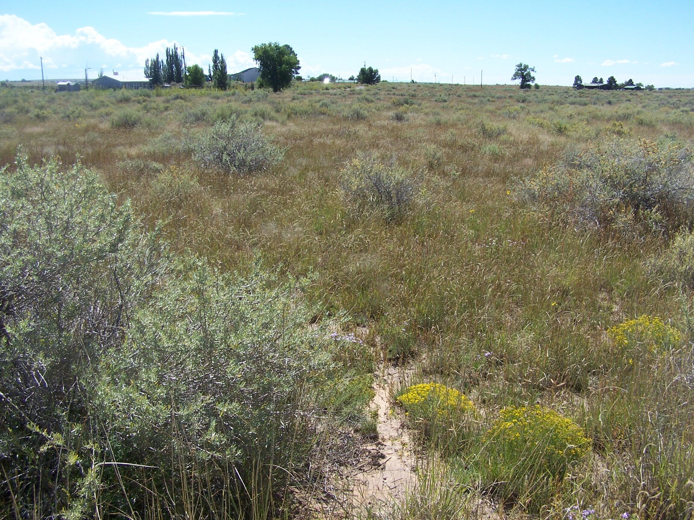 Homes for sale in Moriarty, NM | 0 Galloway/Belgian Ave, Moriarty, NM 87035 | MLS# 1080254