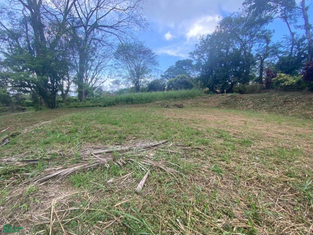0 bed Land For Sale in Osa, Puntarenas - 1