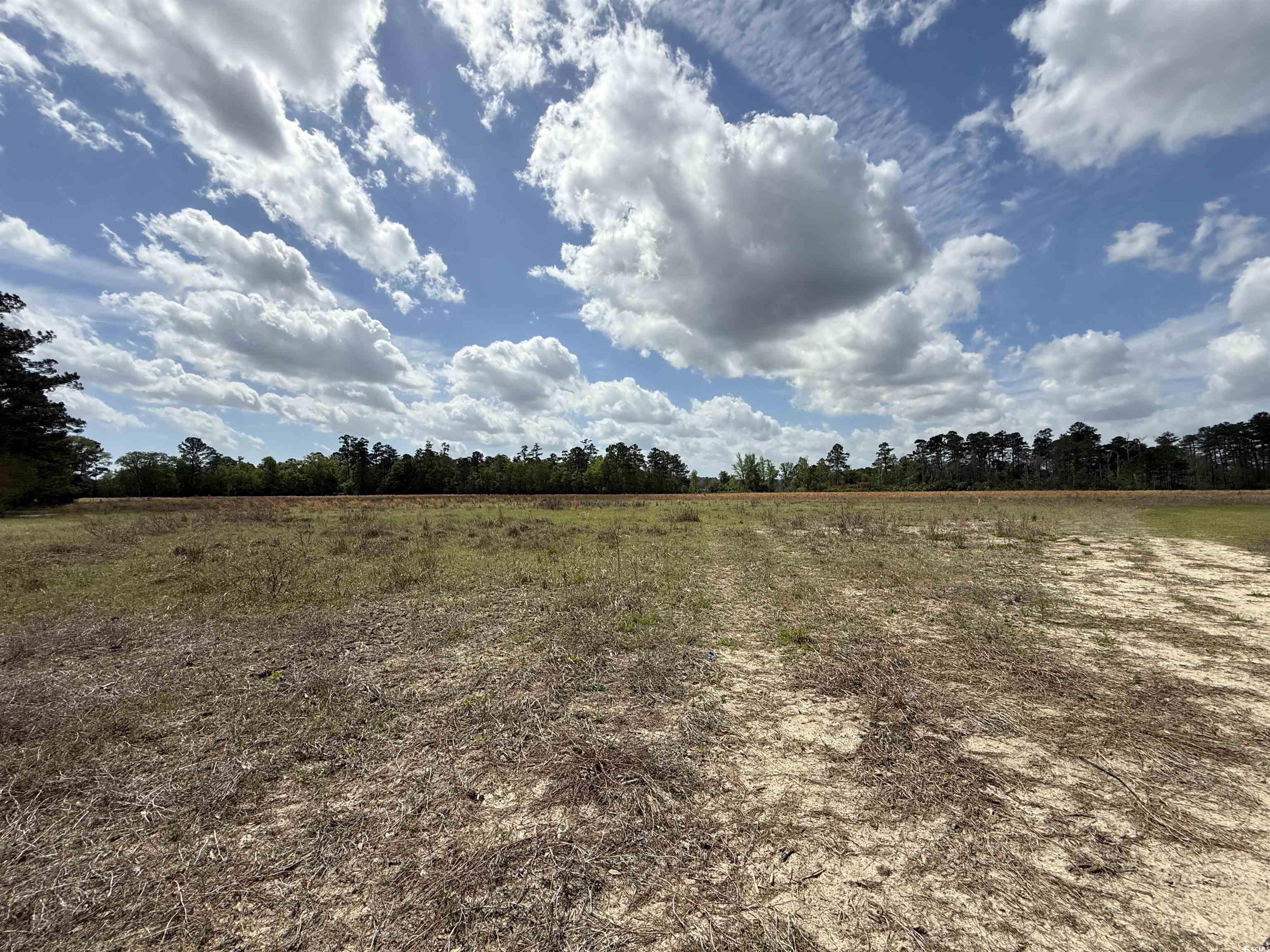 Lot 7 Apple Valley Rd. Loris, SC 29569