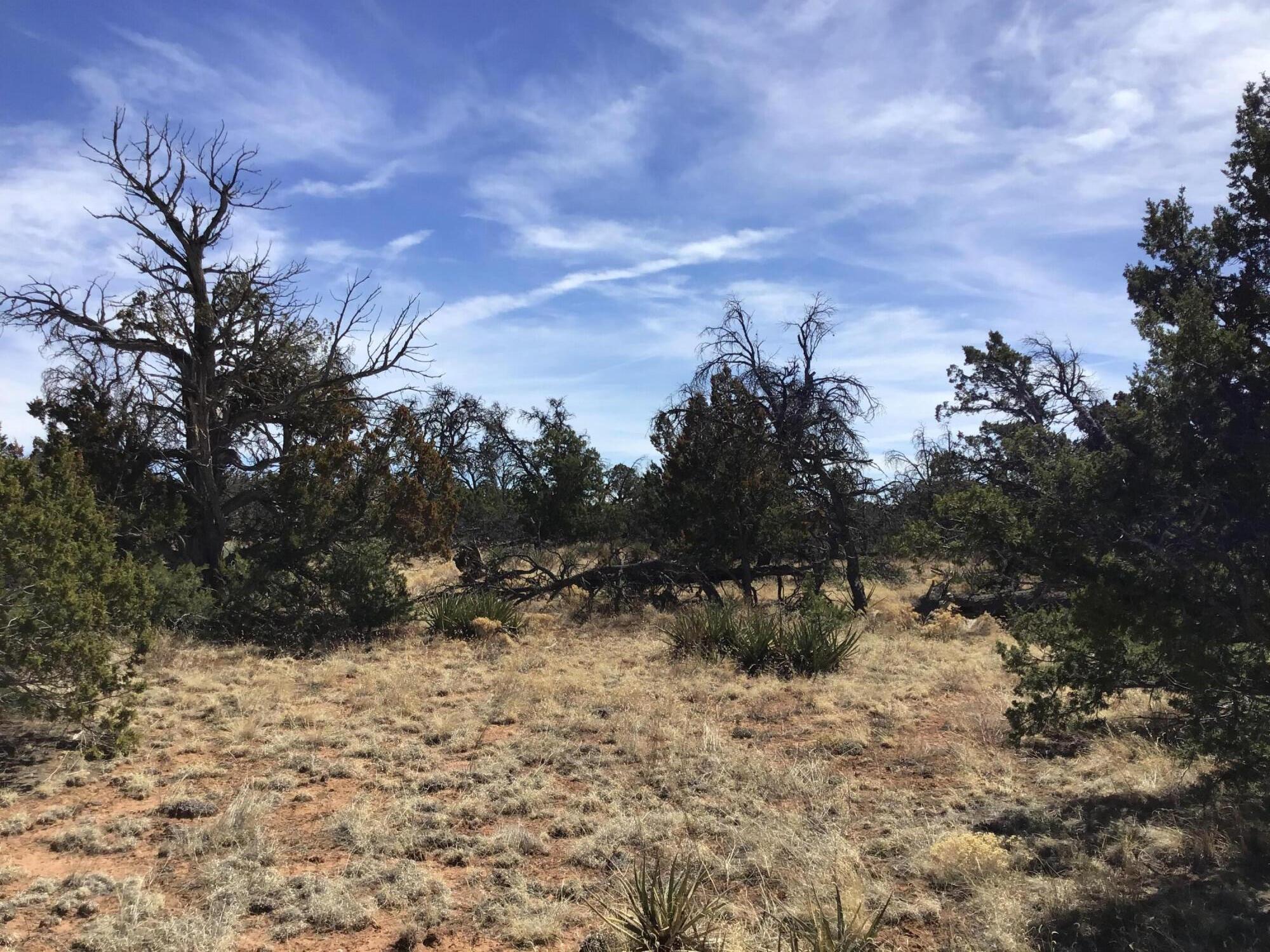 Homes for sale in Ramah, NM | Lot 651 Gabe Rd, Ramah, NM 87321 | MLS# 1080382