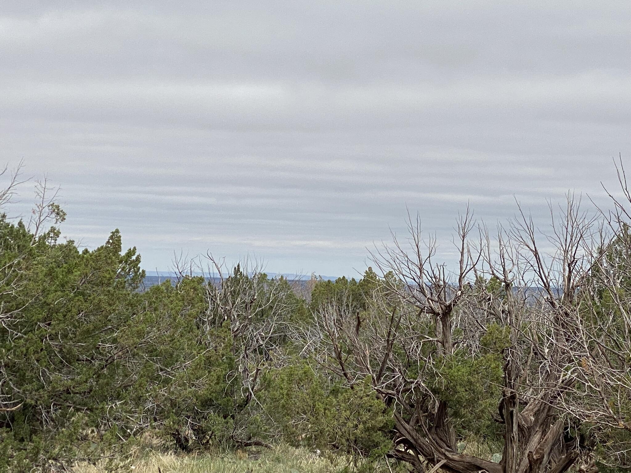 Homes for sale in Newkirk, NM | 10 Bull Canyon Loop, Newkirk, NM 88431 | MLS# 1080389