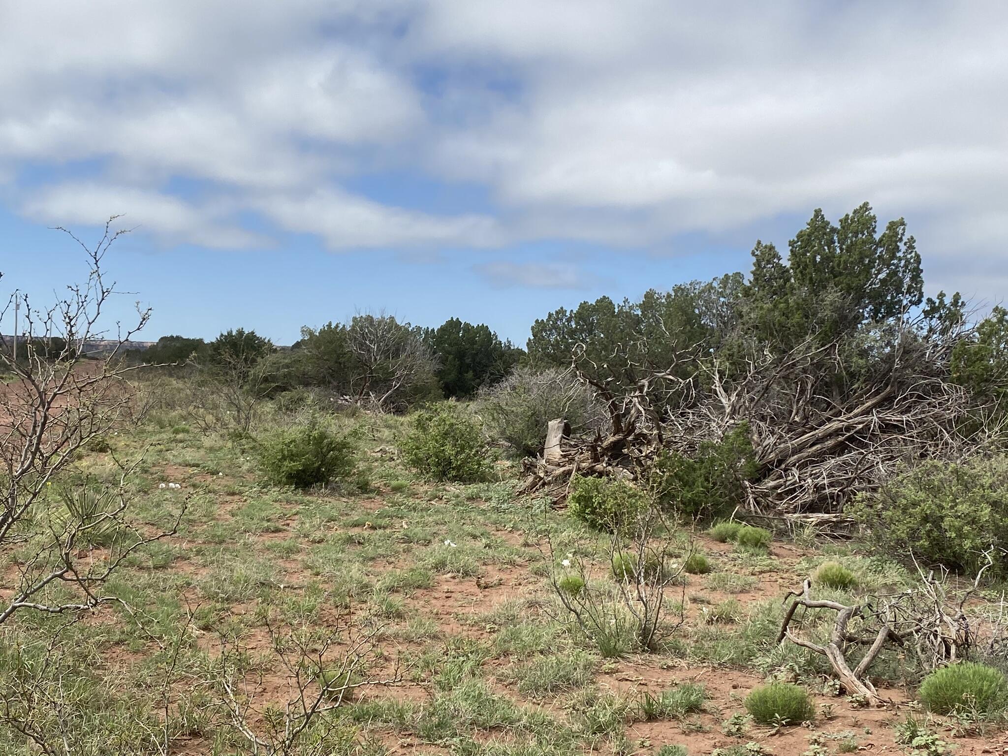 Homes for sale in Newkirk, NM | 10 Bull Canyon Loop, Newkirk, NM 88431 | MLS# 1080389