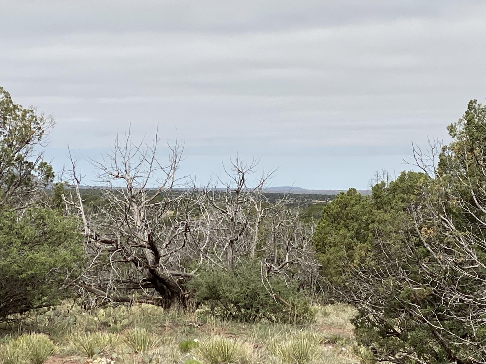 Homes for sale in Newkirk, NM | 10 Bull Canyon Loop, Newkirk, NM 88431 | MLS# 1080389