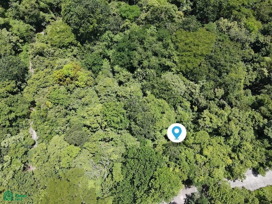 0 bed Land For Sale in Santa Cruz, Guanacaste - 1