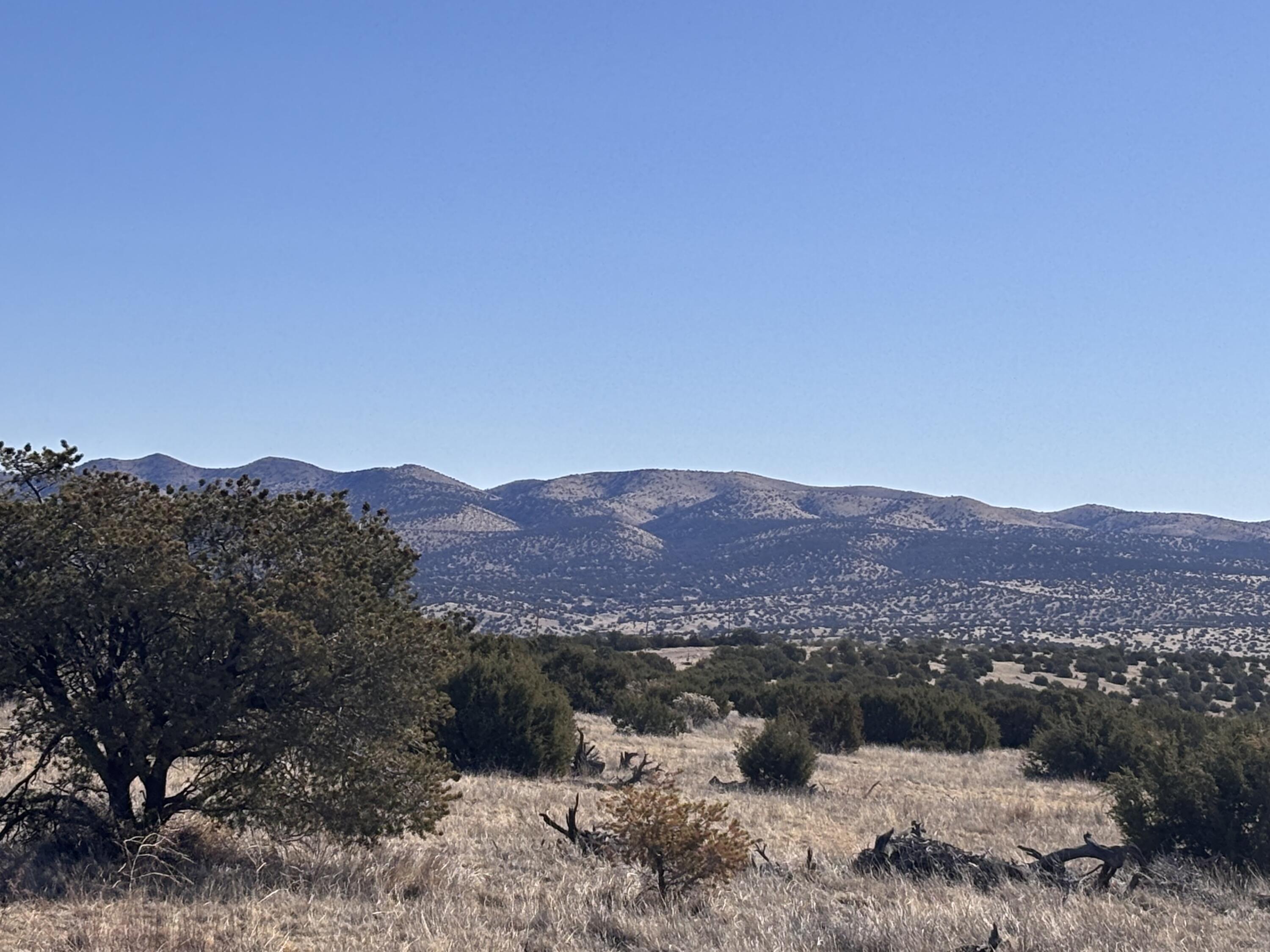Homes for sale in Magdalena, NM | Lot 168 Pinon Springs, Magdalena, NM 87825 | MLS# 1080444