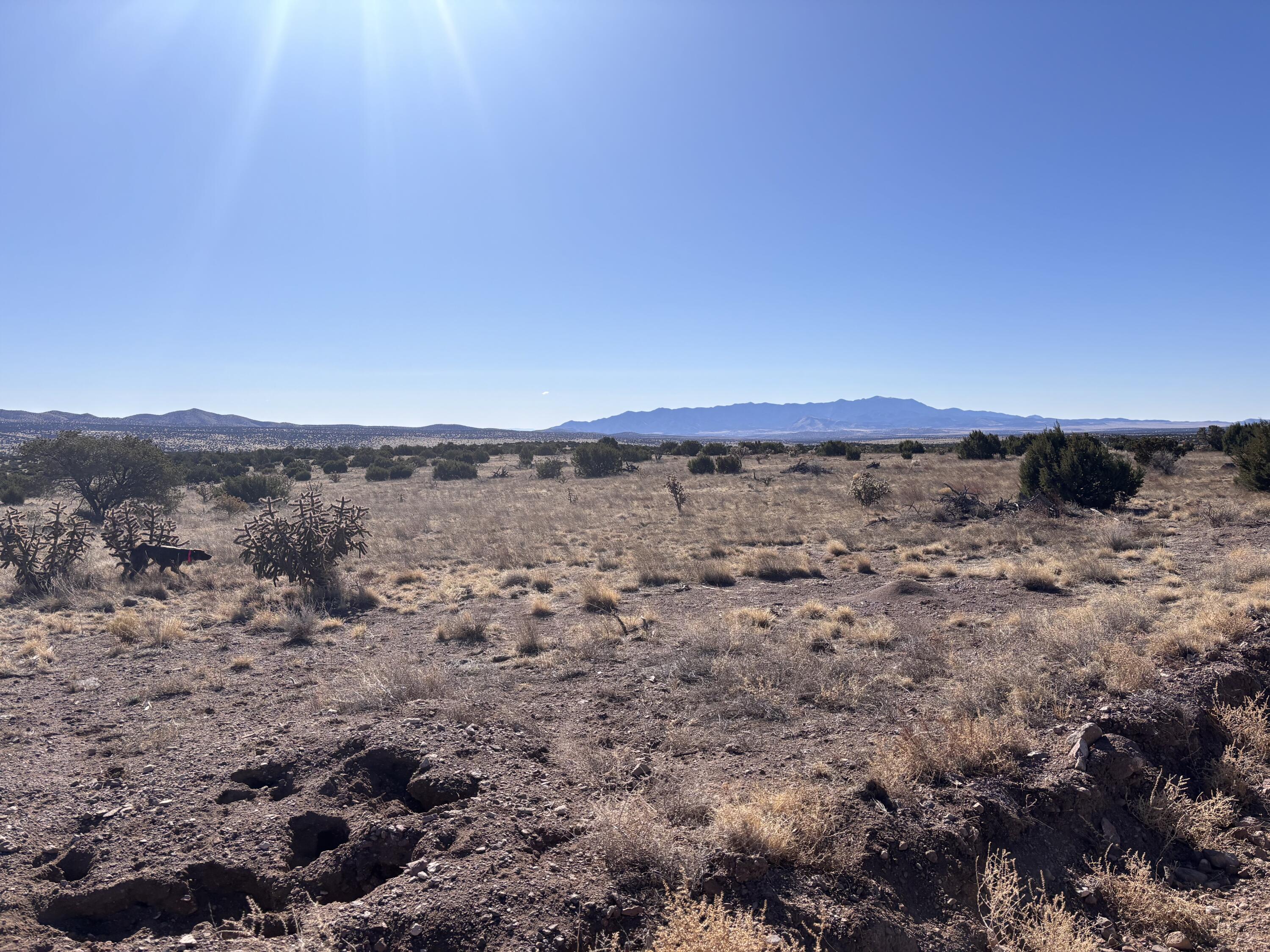 Homes for sale in Magdalena, NM | Lot 168 Pinon Springs, Magdalena, NM 87825 | MLS# 1080444
