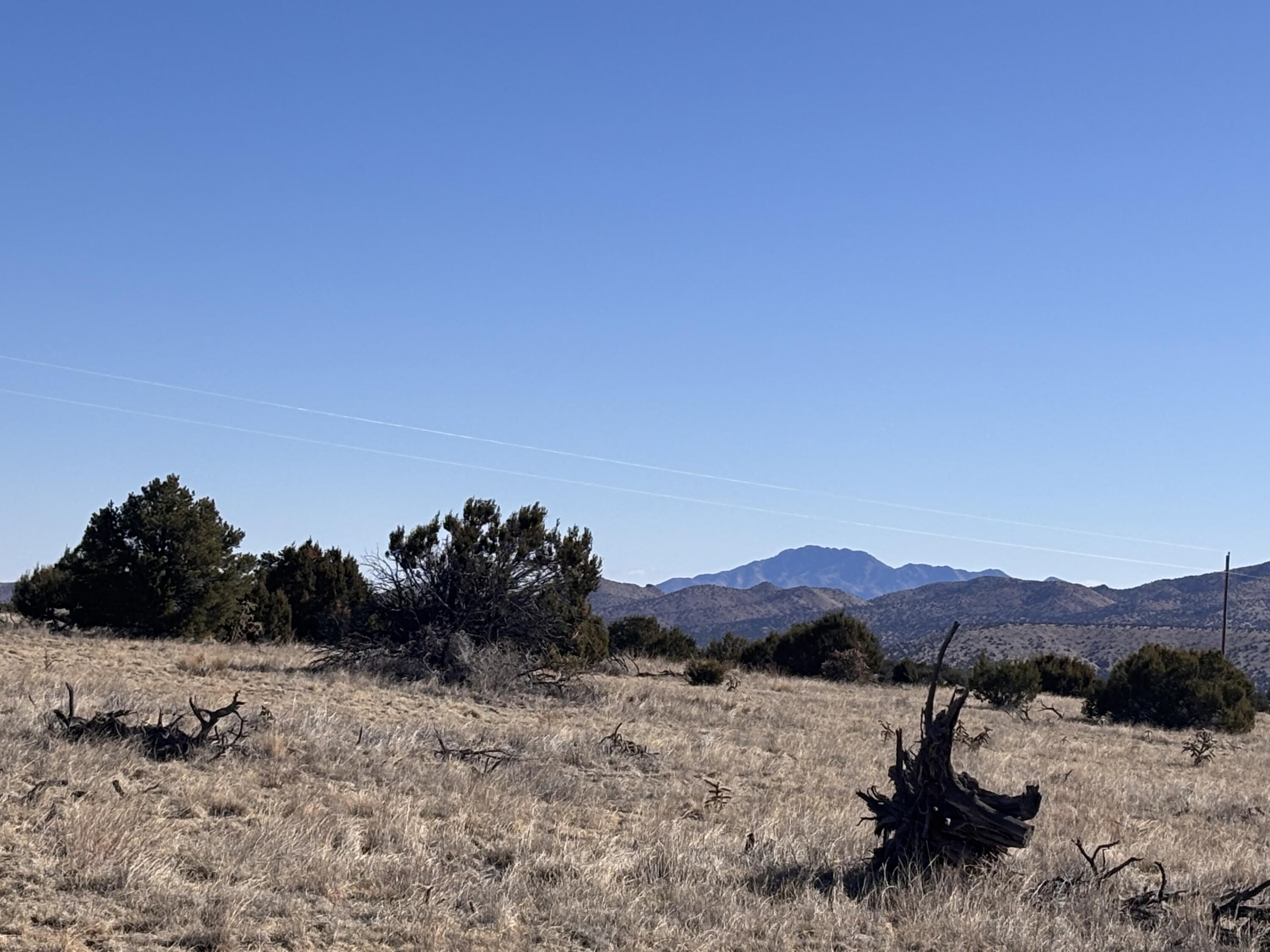 Homes for sale in Magdalena, NM | Lot 168 Pinon Springs, Magdalena, NM 87825 | MLS# 1080444