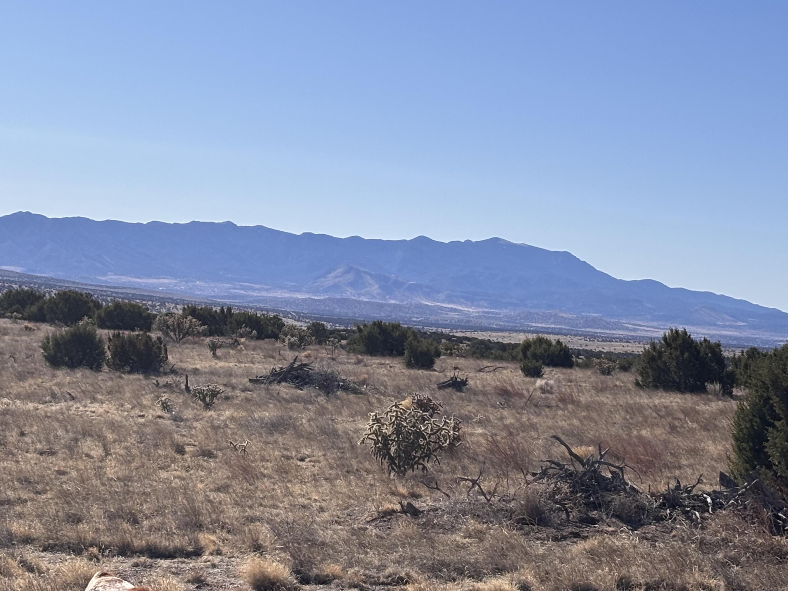 Homes for sale in Magdalena, NM | Lot 168 Pinon Springs, Magdalena, NM 87825 | MLS# 1080444