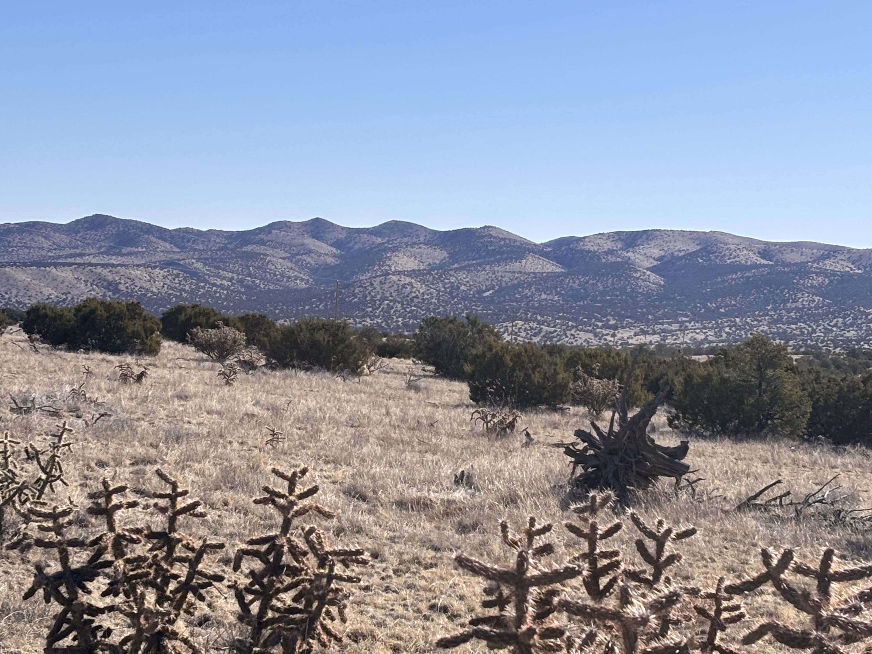 Homes for sale in Magdalena, NM | Lot 168 Pinon Springs, Magdalena, NM 87825 | MLS# 1080444