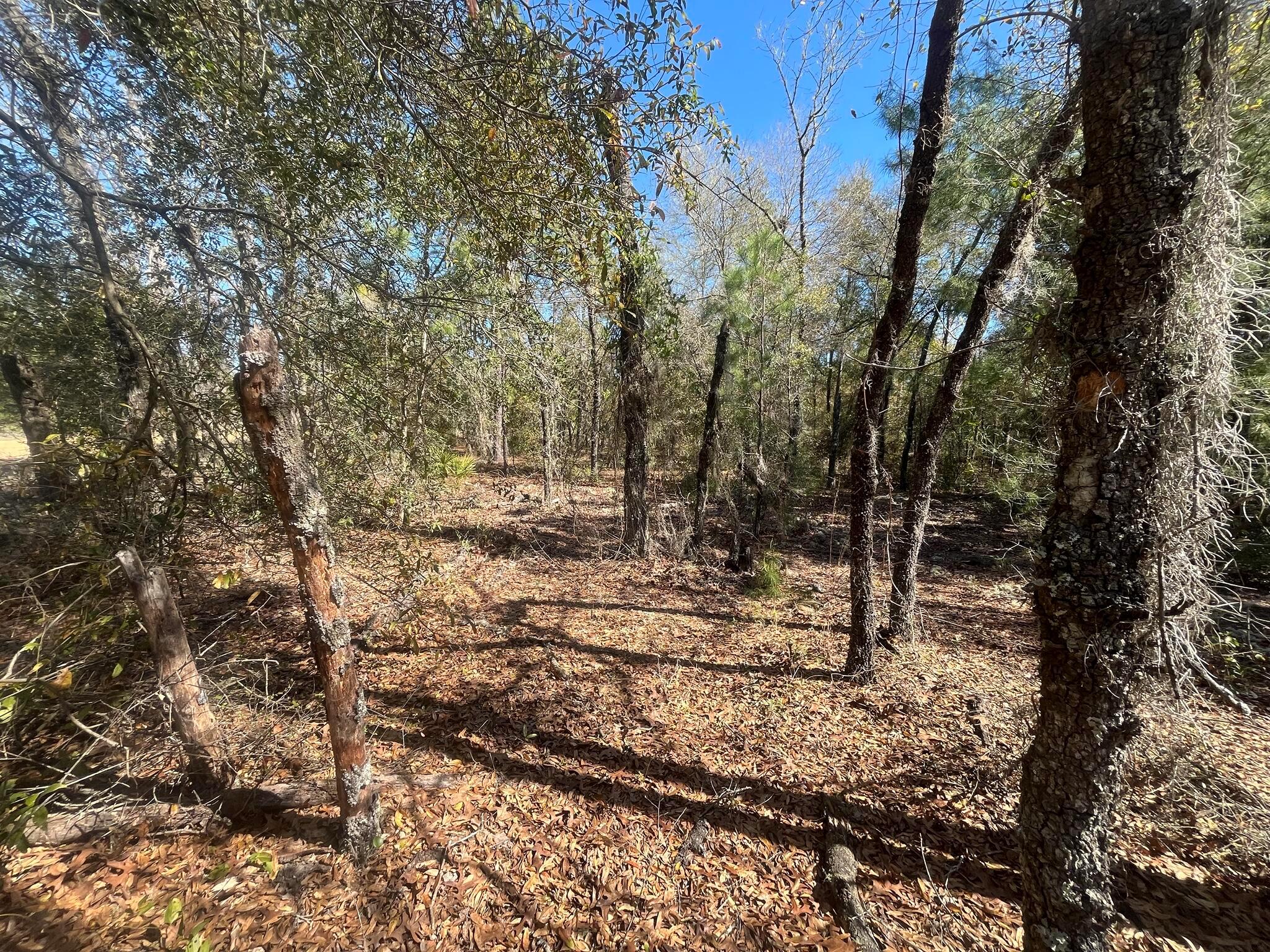 Interlachen Lakes Estates