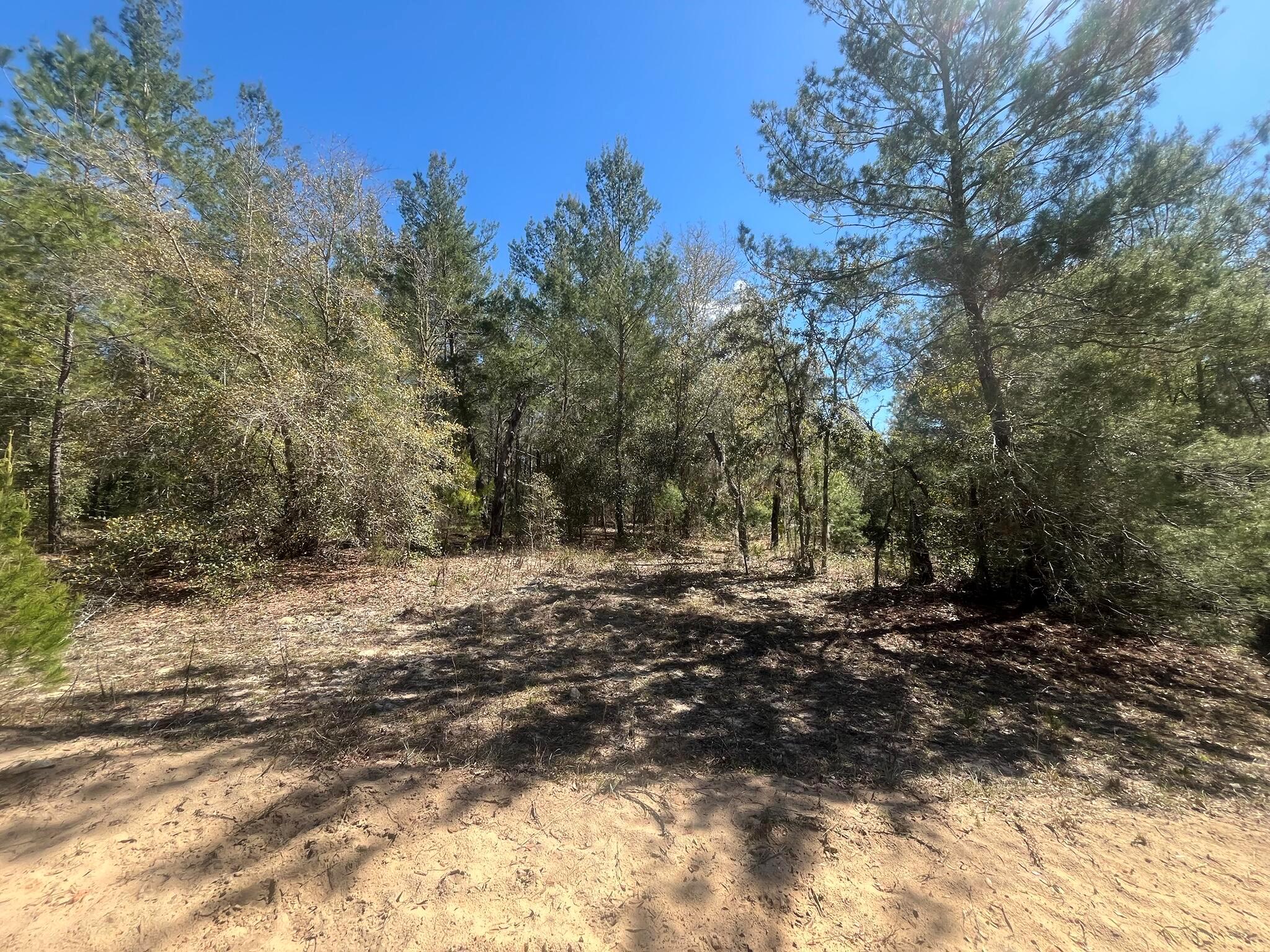 Interlachen Lakes Estates