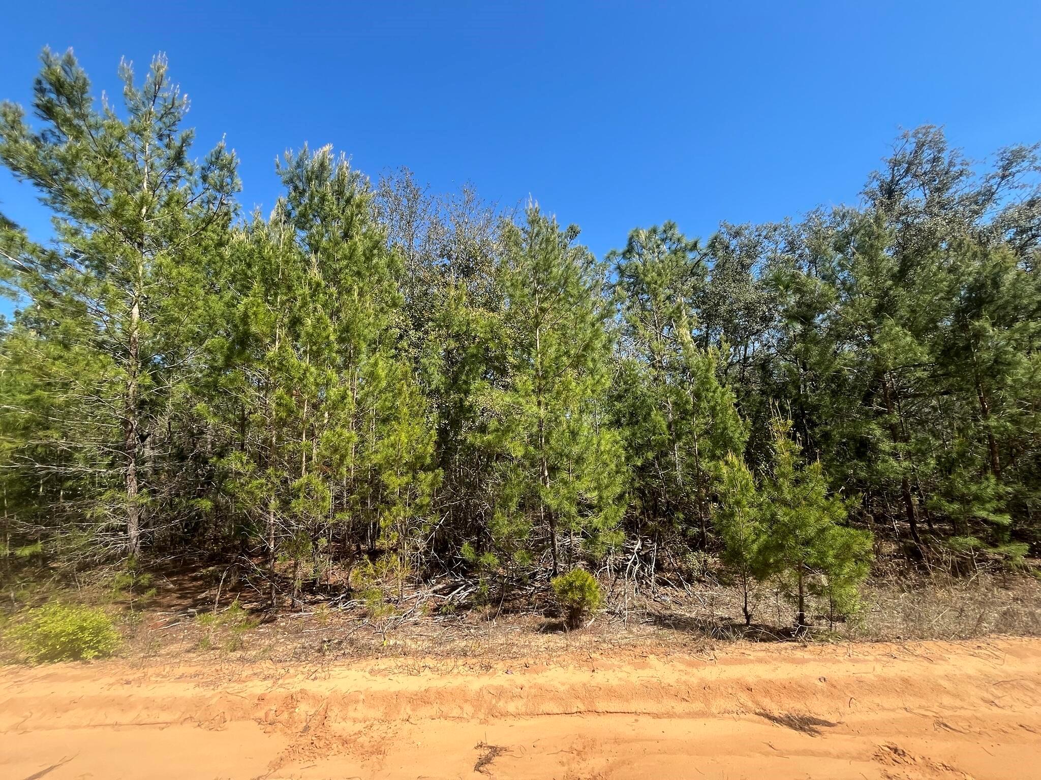 Interlachen Lakes Estates