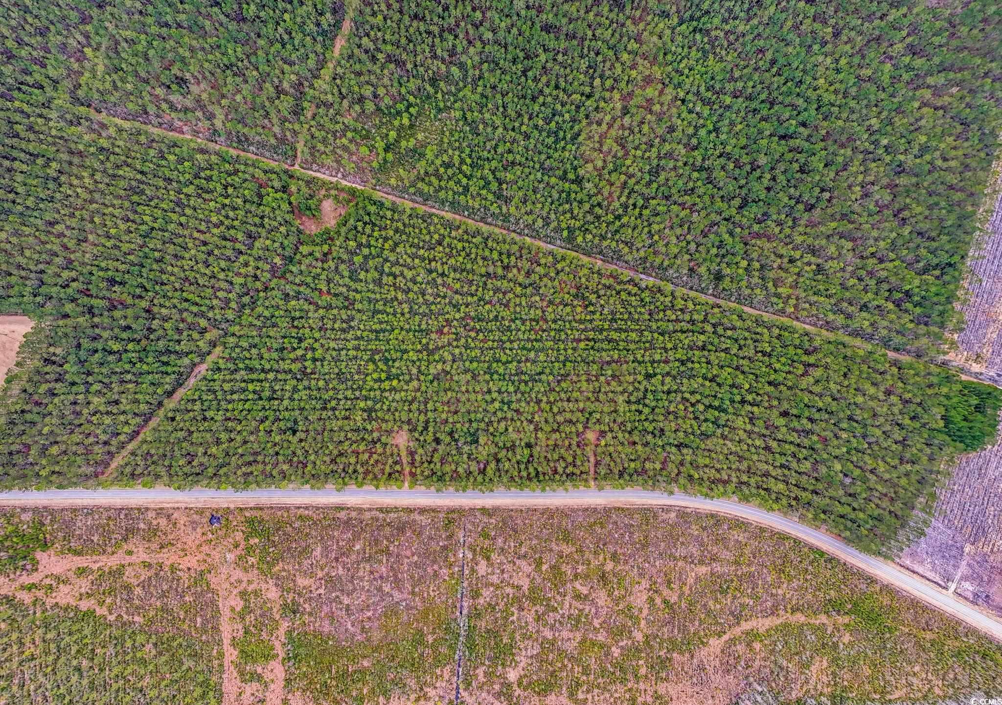 TBD Joyner Swamp Rd. Galivants Ferry, SC 29544