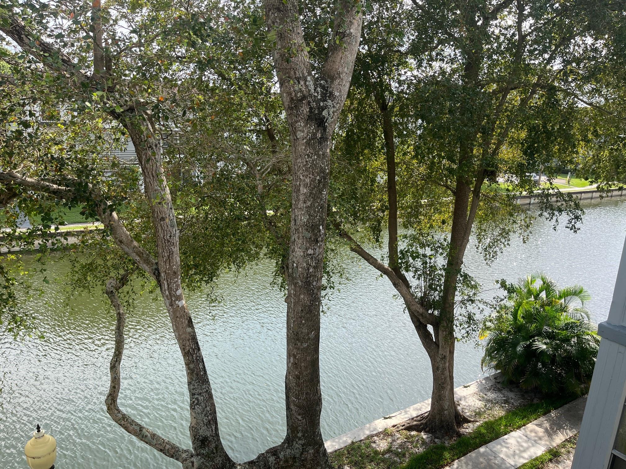 Homes for sale in Fort Lauderdale, FL | 8360 Sands Point Blvd #305, Fort Lauderdale, FL 33321 | MLS# F10494071