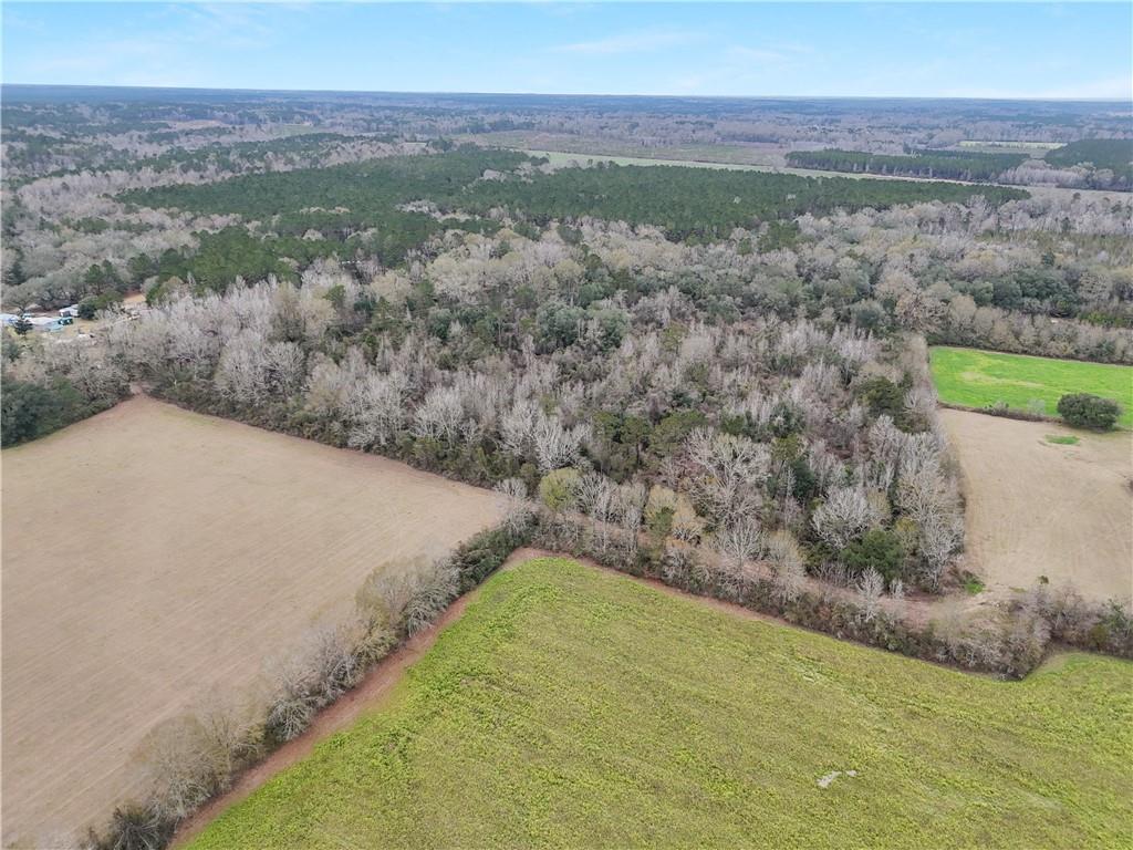 Homes for sale in Angie, LA | Military Rd, Angie, LA 70426 | MLS# 2492567