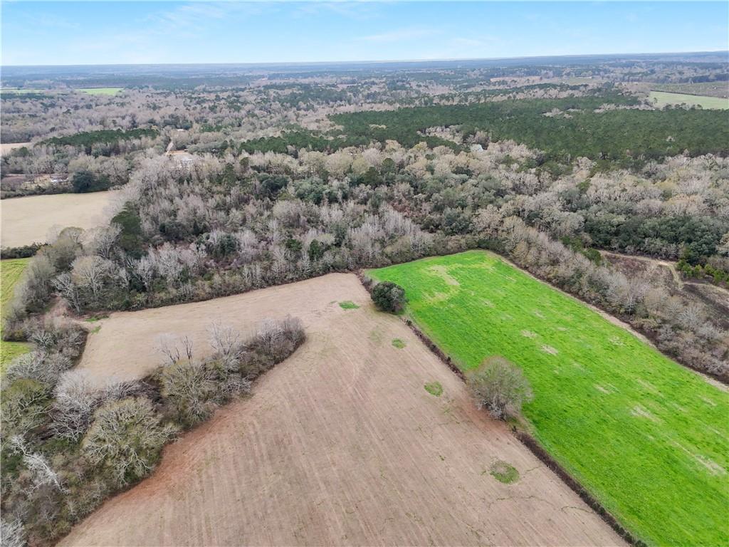 Homes for sale in Angie, LA | Military Rd, Angie, LA 70426 | MLS# 2492567