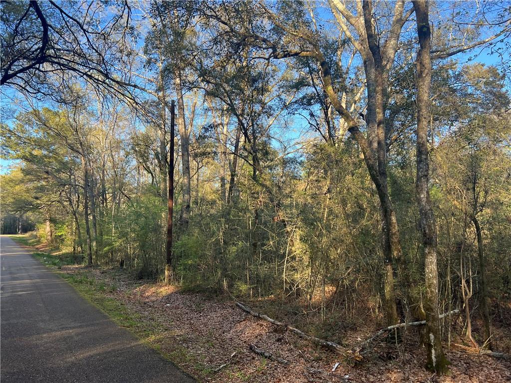 Homes for sale in Angie, LA | Military Rd, Angie, LA 70426 | MLS# 2492567