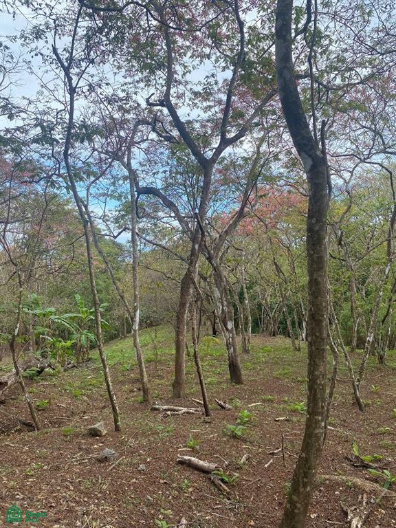 0 bed Land For Sale in Puntarenas, Puntarenas - 1