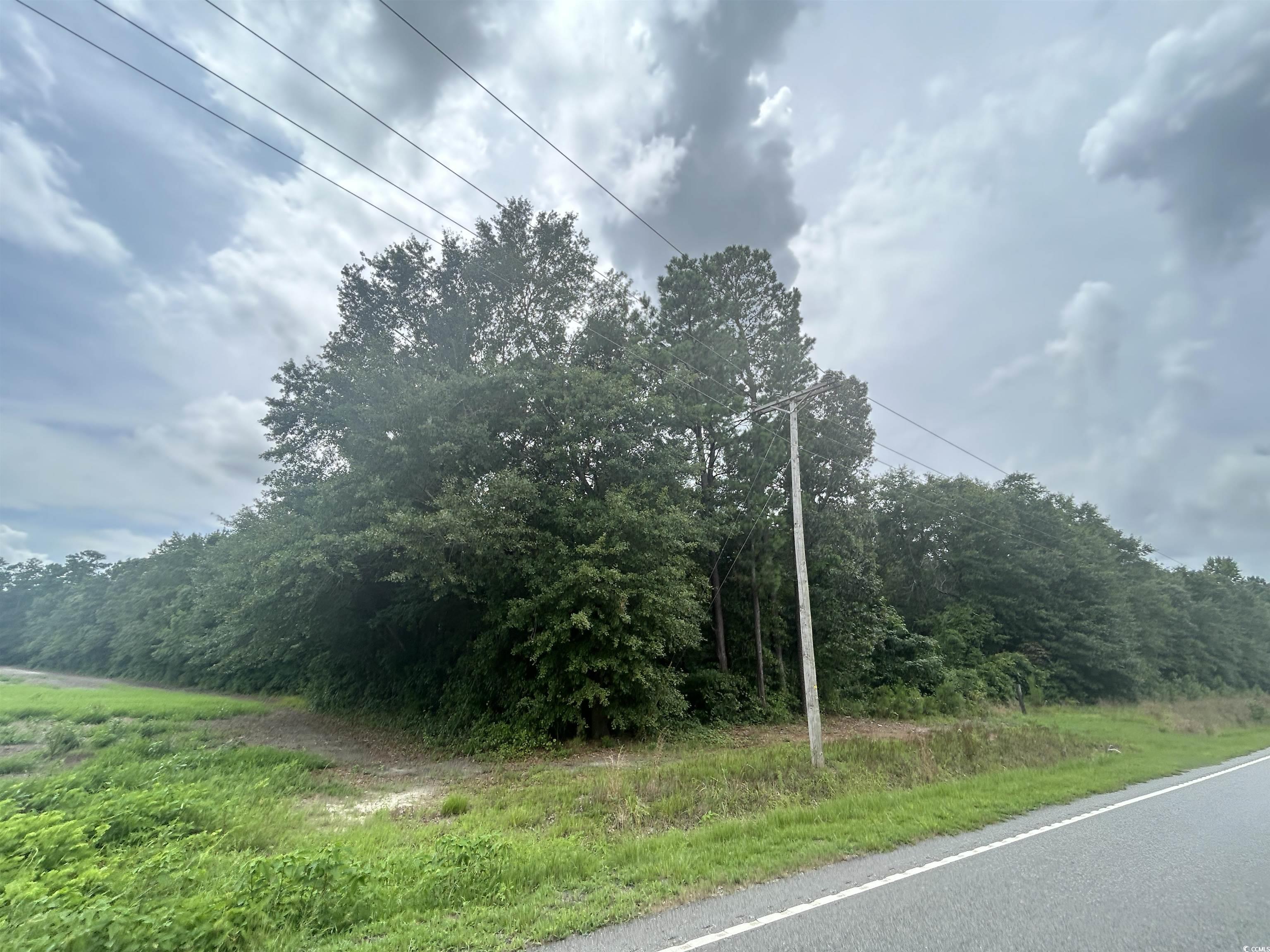 TBD Highway 308 Galivants Ferry, SC 29544