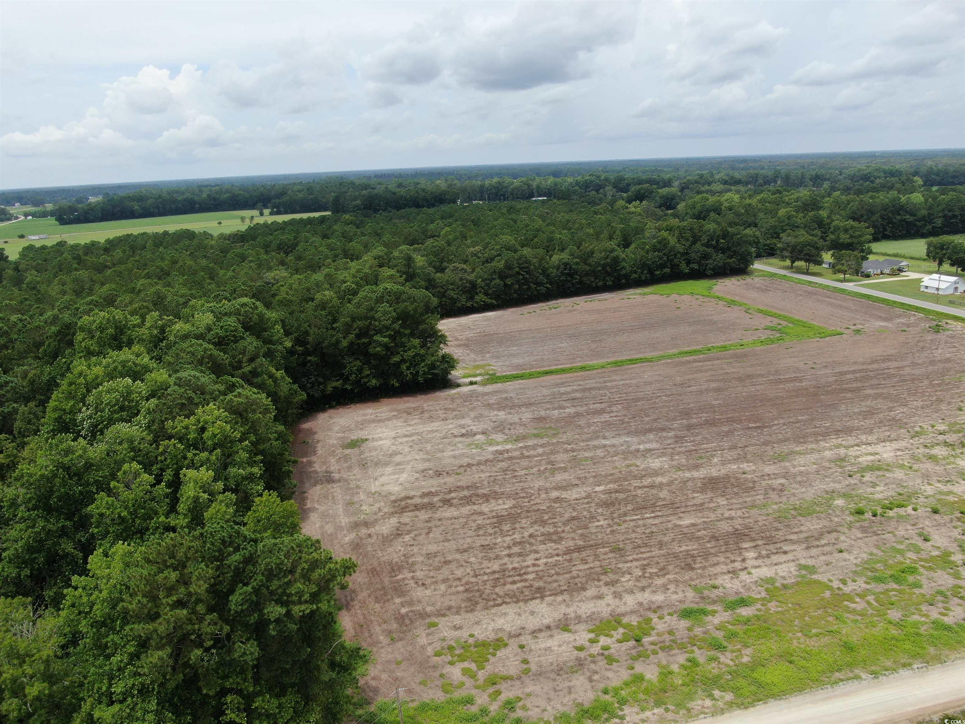 TBD Highway 308 Galivants Ferry, SC 29544