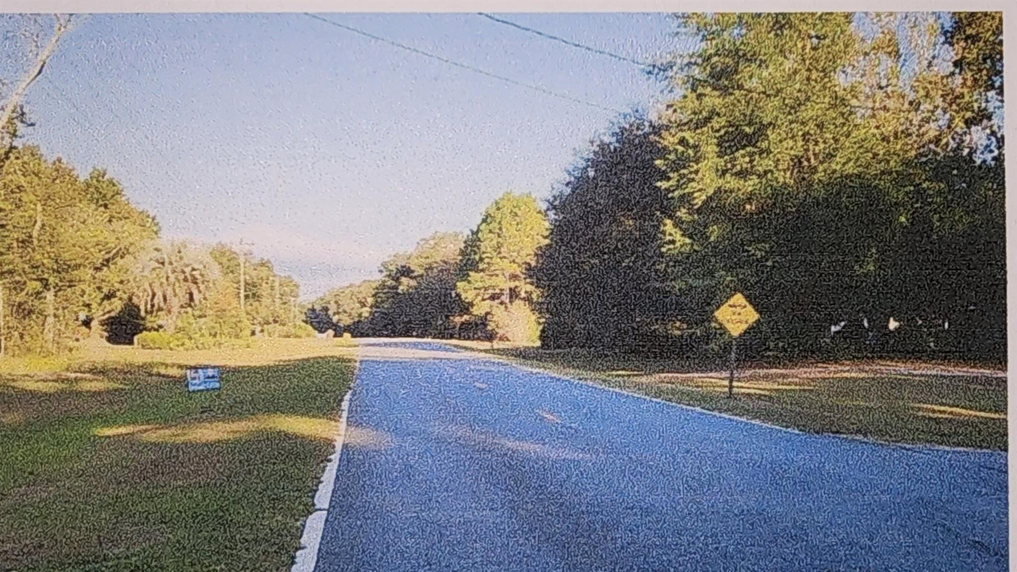 Homes for sale in Tallahassee, FL | Xxxx Fairbanks Ferry, Tallahassee, FL 32312 | MLS# F10494695