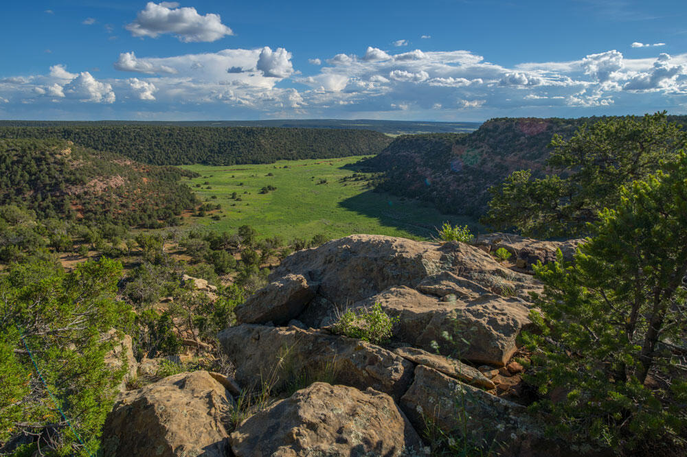 Homes for sale in Rowe, NM | X Hwy 34, Rowe, NM 87562 | MLS# 1080883