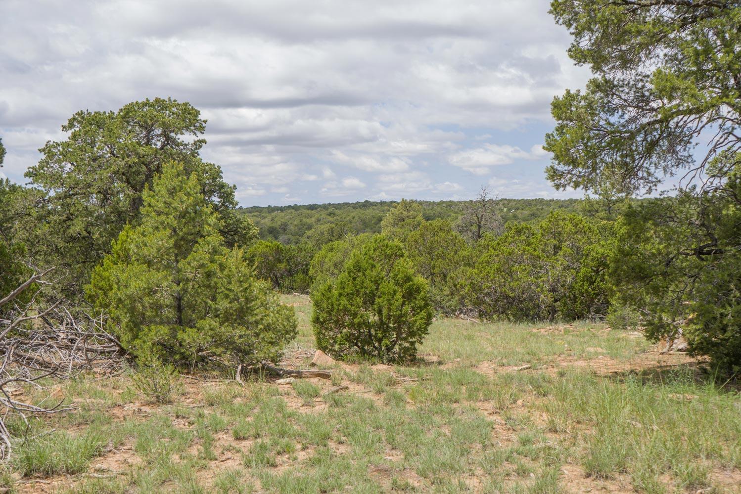 Homes for sale in Rowe, NM | X Hwy 34, Rowe, NM 87562 | MLS# 1080883