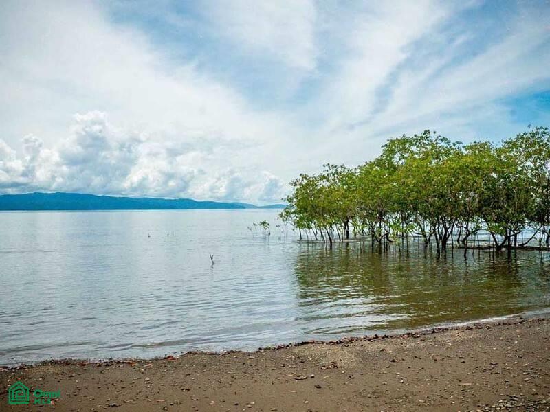 0 bed Commercial For Sale in Golfito, Puntarenas - 1