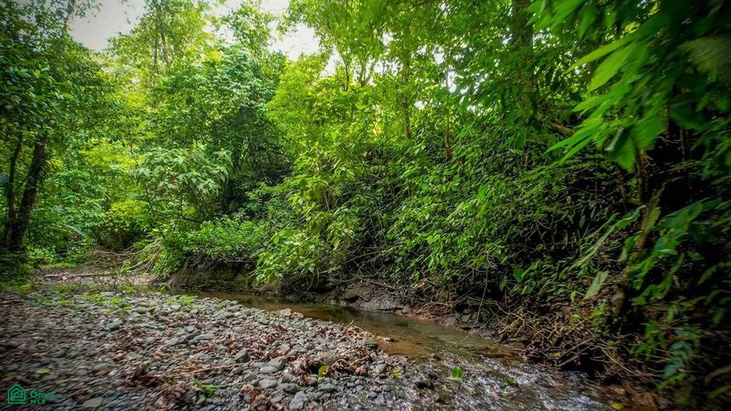 0 bed Commercial For Sale in Osa, Puntarenas - 1
