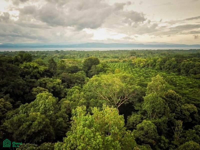 0 bed Land For Sale in Osa, Puntarenas - 1