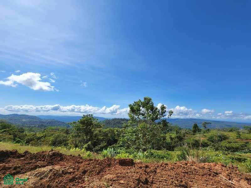 0 bed Land For Sale in Osa, Puntarenas - 1