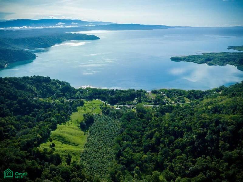 0 bed Commercial For Sale in Osa, Puntarenas - 1