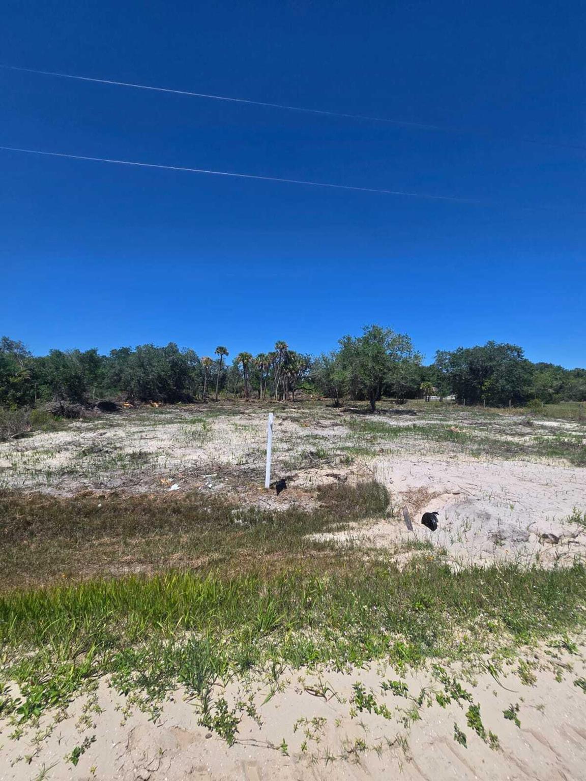 Southern Colonization