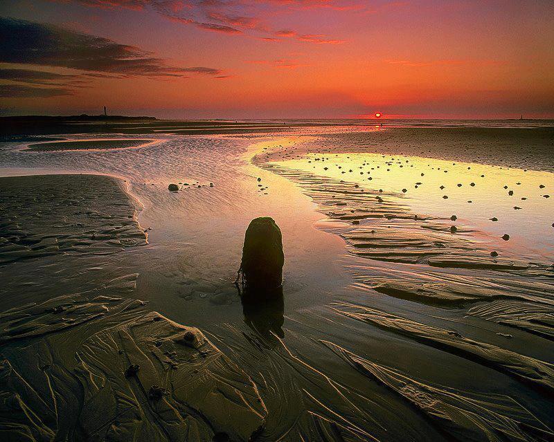 Homes for sale in Delray Beach, FL | 450 Egret Circle #9209, Delray Beach, FL 33444 | MLS# R11076436