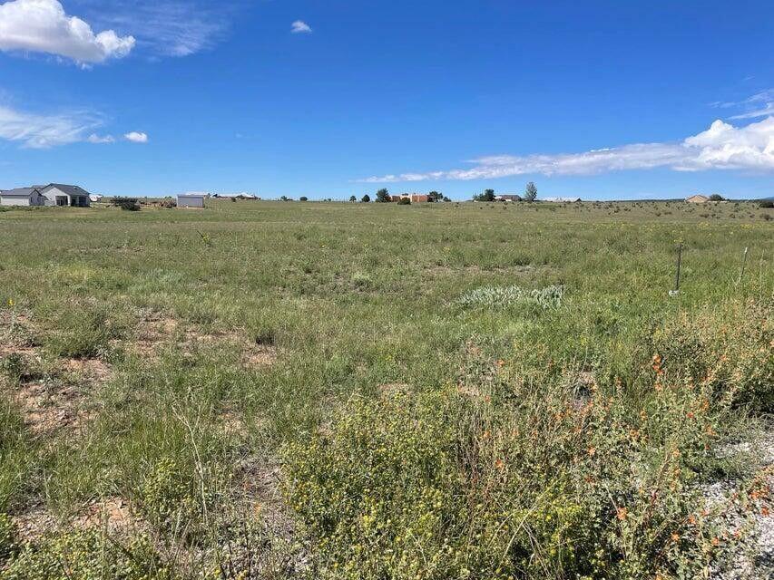 Homes for sale in Edgewood, NM | 11 Thousand Hills Rd, Edgewood, NM 87015 | MLS# 1081049