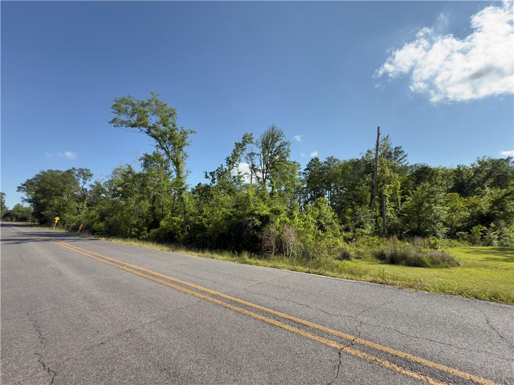 Homes for sale in Maurepas, LA | Bear Island Rd 310 Acres Sec 7-9-6 Rd, Maurepas, LA 70449 | MLS# 2492013