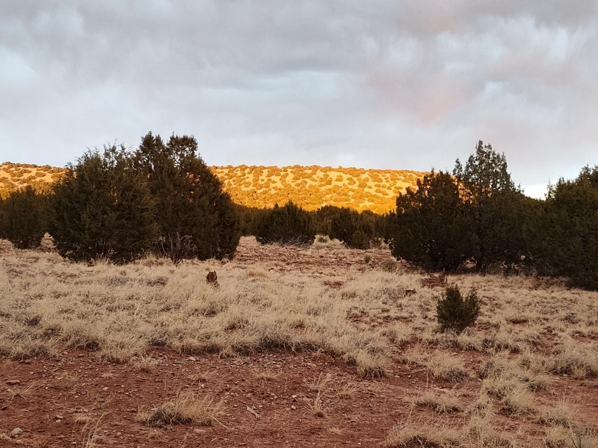 Homes for sale in Mountainair, NM | 268 Old Abo Trl, Mountainair, NM 87036 | MLS# 1081378