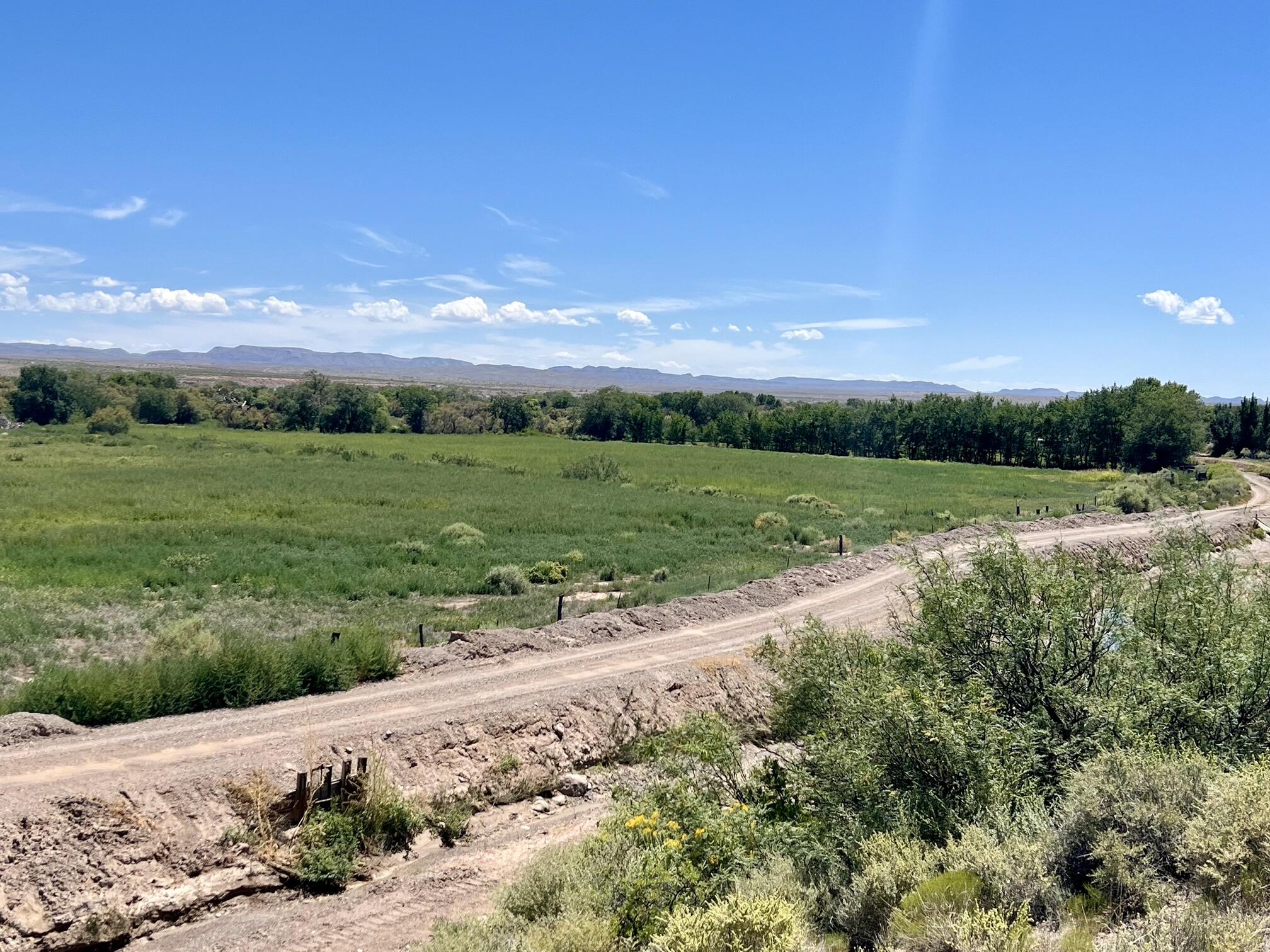 Photo 9 —  Lemitar Farm