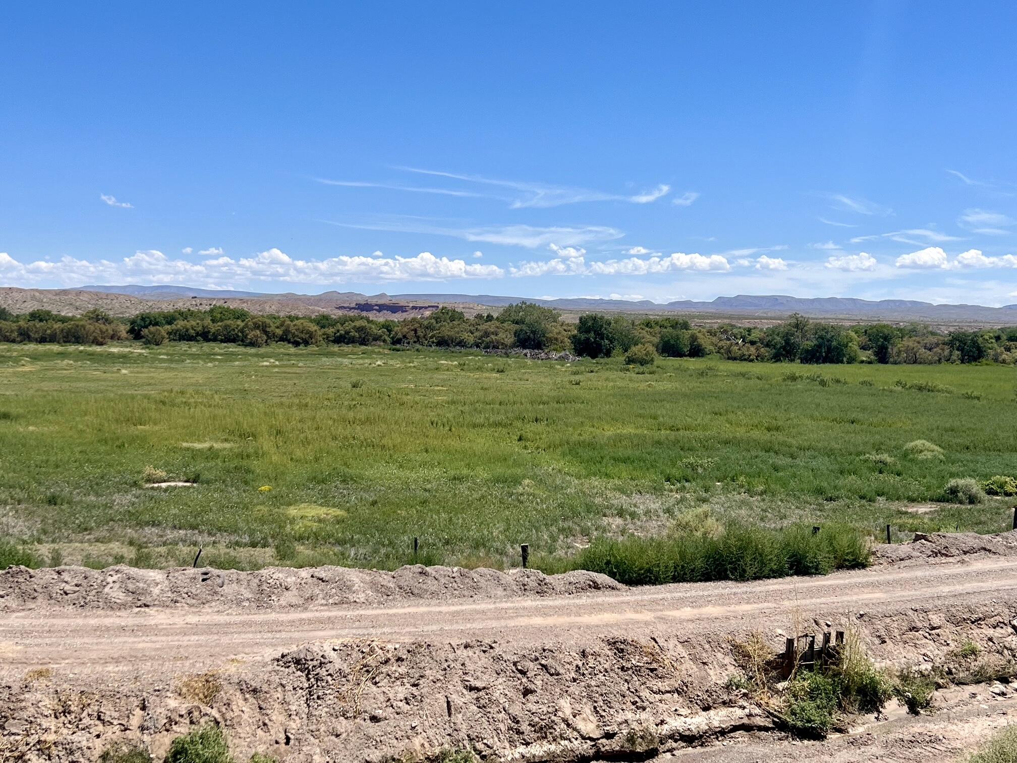 Homes for sale in Lemitar, NM | Lemitar Farm, Lemitar, NM 87823 | MLS# 1081410