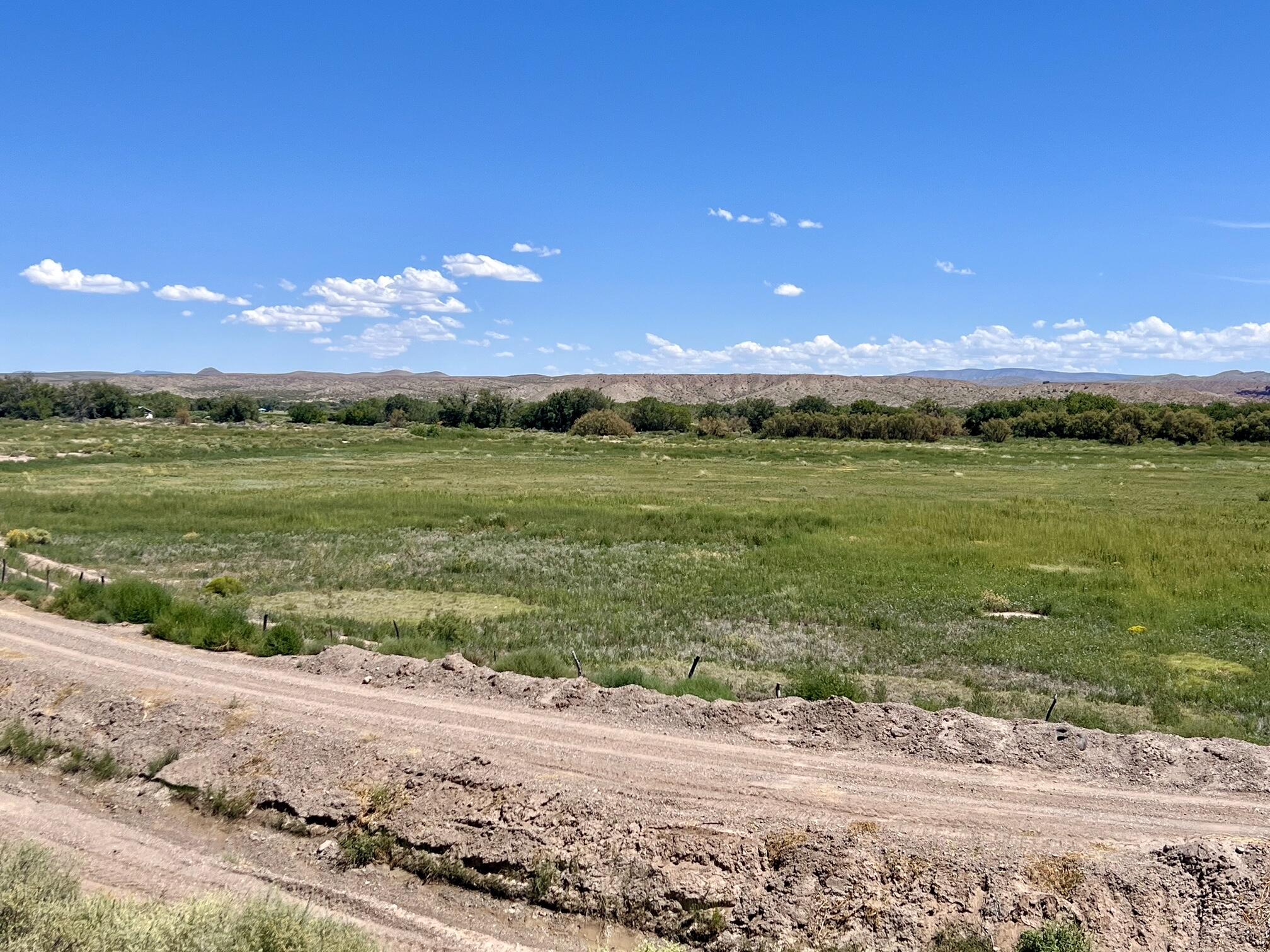 Photo 11 —  Lemitar Farm