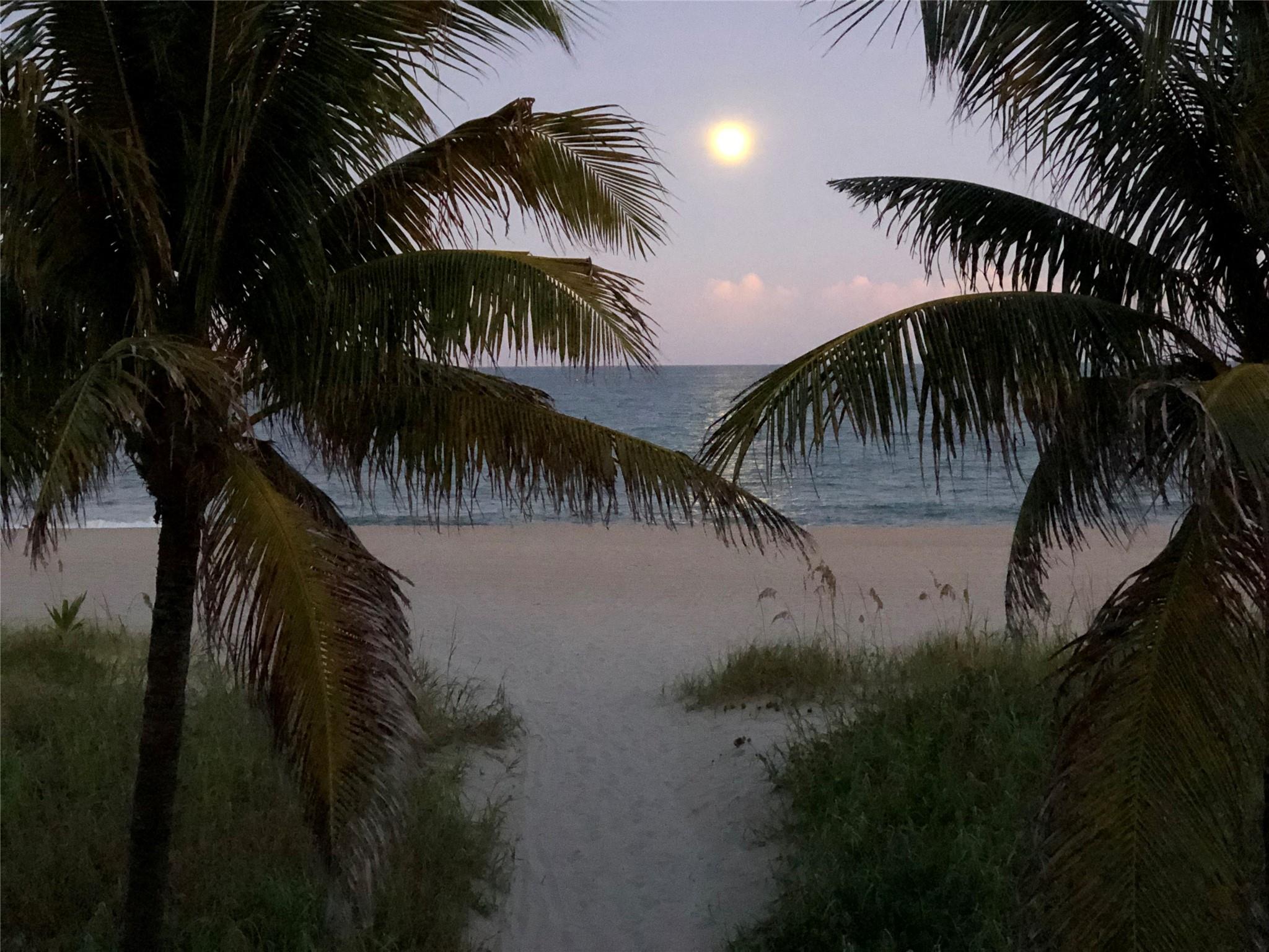 Homes for sale in Lauderdale By The Sea, FL | 1620 S Ocean Blvd #15J, Lauderdale By The Sea, FL 33062 | MLS# F10496497