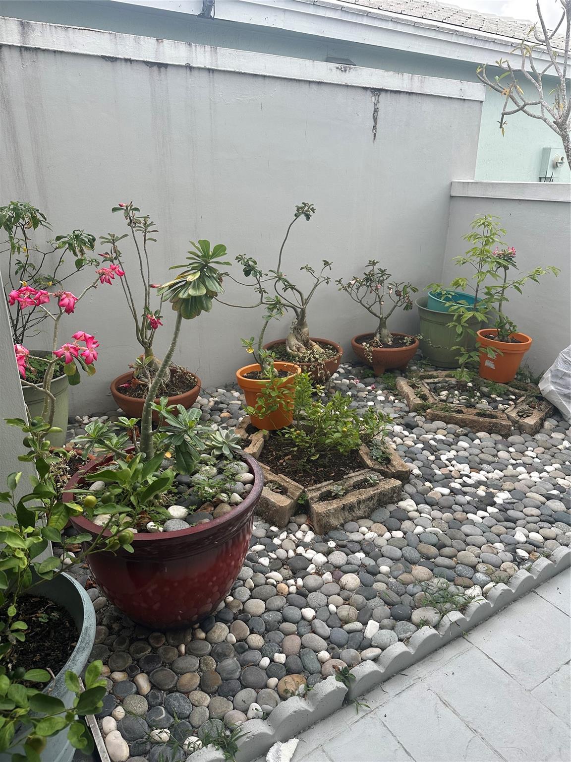 Homes for sale in Miami, FL | 4753 Sw 154Th Ct, Miami, FL 33185 | MLS# F10496791