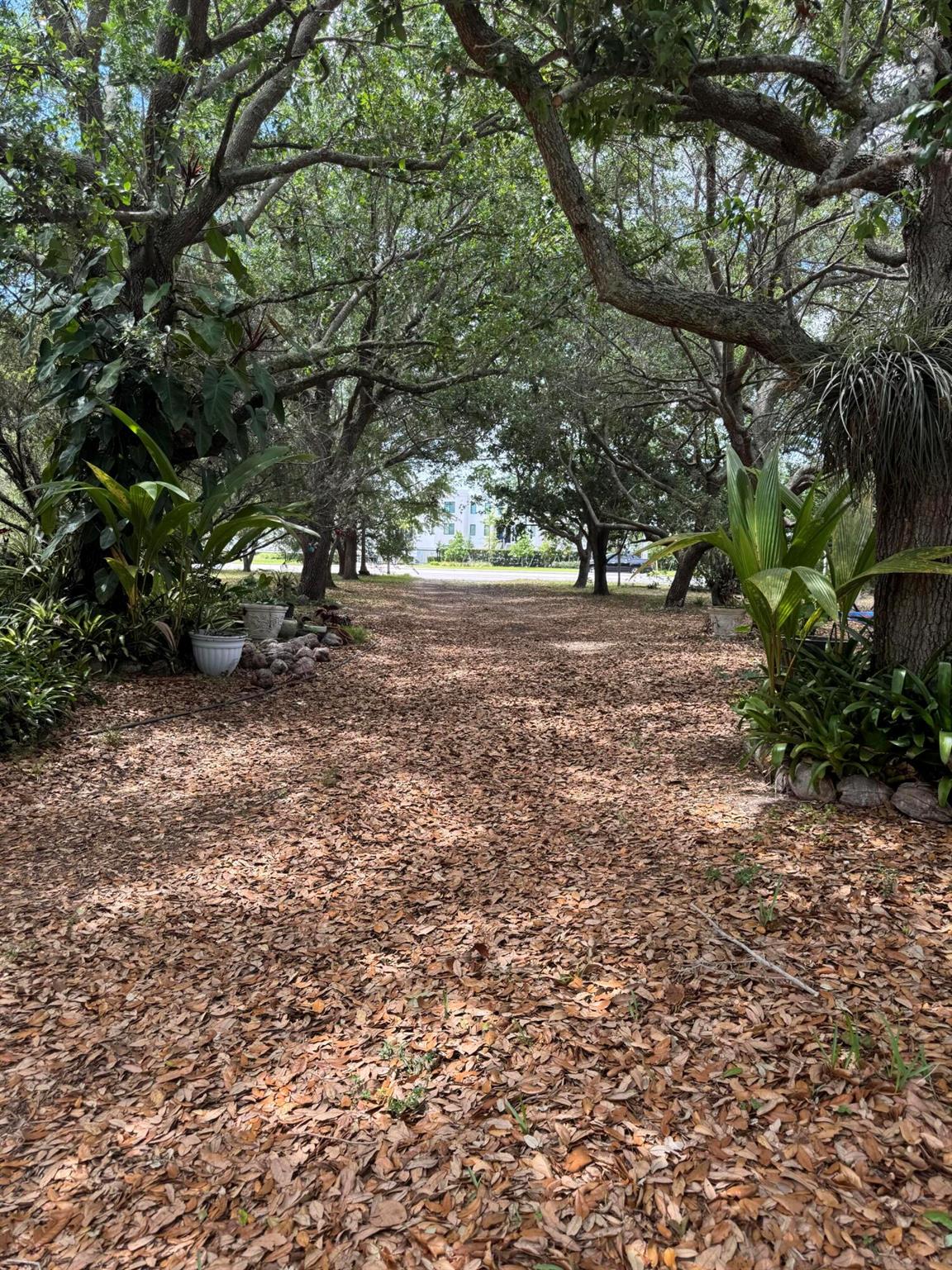 4390 S Jog Road Lake Worth FL 33467 | R11079632